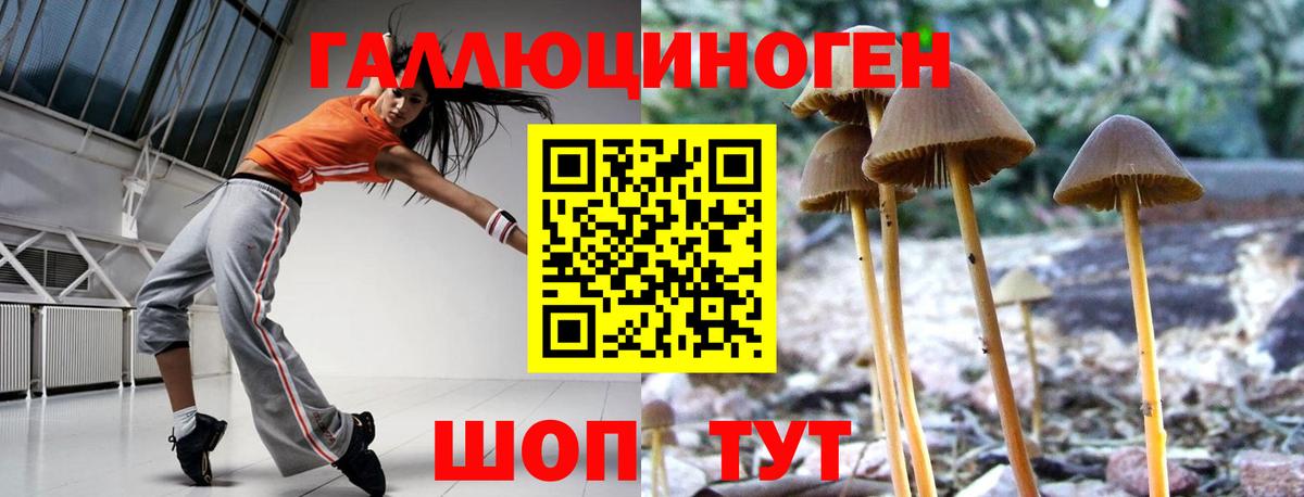 Галлюциногенные грибы Psilocybine cubensis  Вход с VPN  продажа наркотиков  Альметьевск 